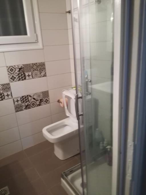 Οικία Με Αυλή Και Πάρκινγκ, Μέσα Στο Κάστρο Της Πόλης Villa Ioannina Luaran gambar